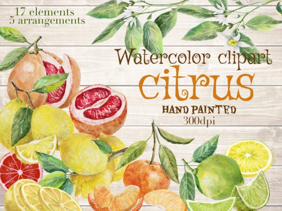 Circus Fruits Arrangements,watercolor Illustrations Review