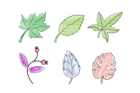 Cute Leaf in Watercolor: Fresh Illustrations for Crafts