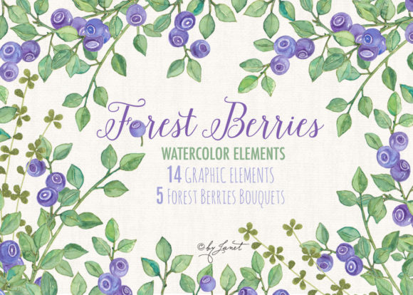 Forest Berries Watercolor Clipart for Illustrations