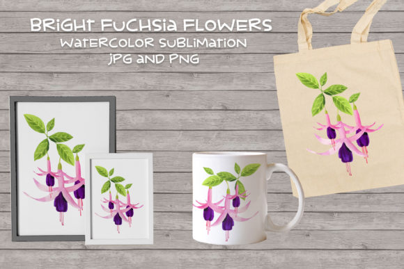 Fuchsia Flowers Watercolor Sublimation: Vibrant Illustrations