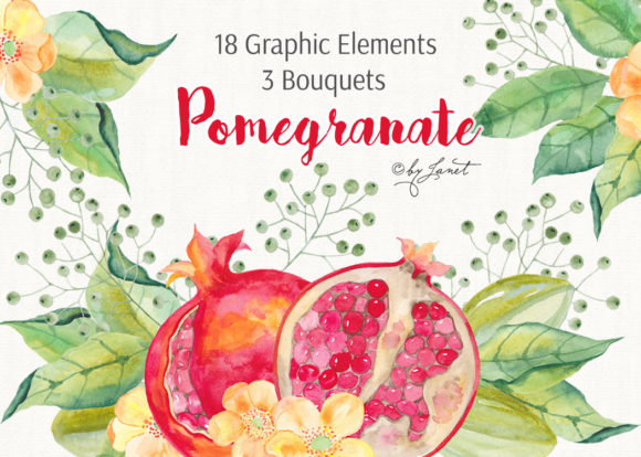 Pomegranate Watercolor: Premium Illustrations for Sellers