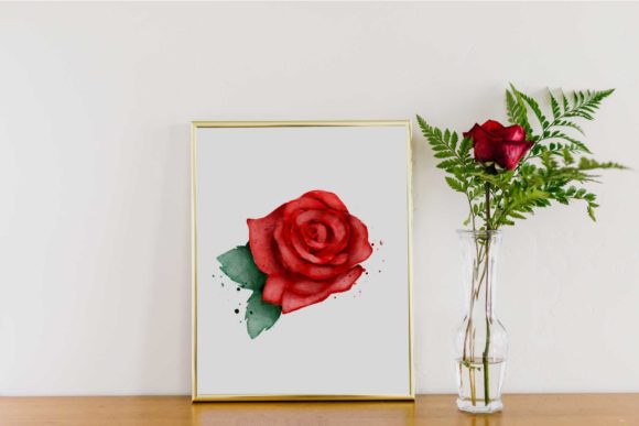 Red Rose Watercolor Illustrations for Blogs