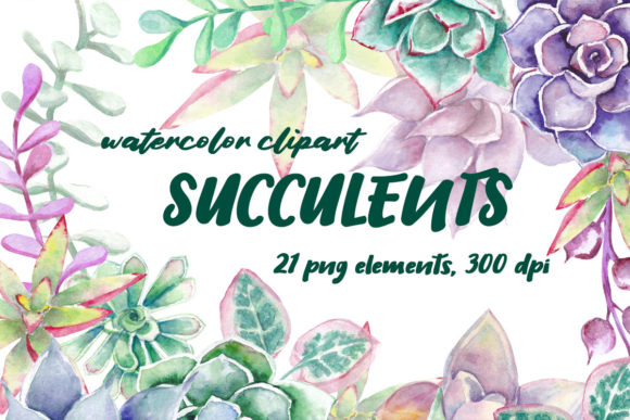 Review: Watercolor Succulent Clipart for Embroidery
