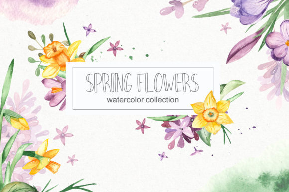 Spring Flowers Watercolor Collection: Illustrations Review