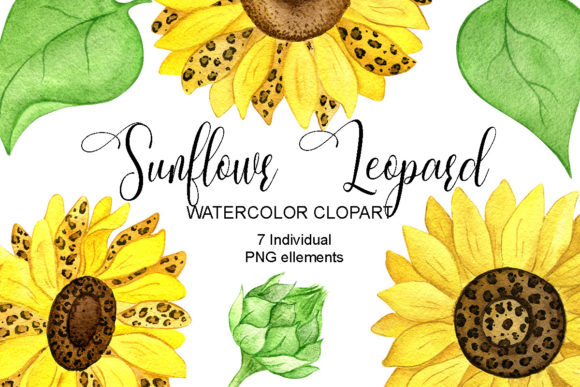 Sunflower Leopard Watercolor Clipart: Vibrant Illustrations