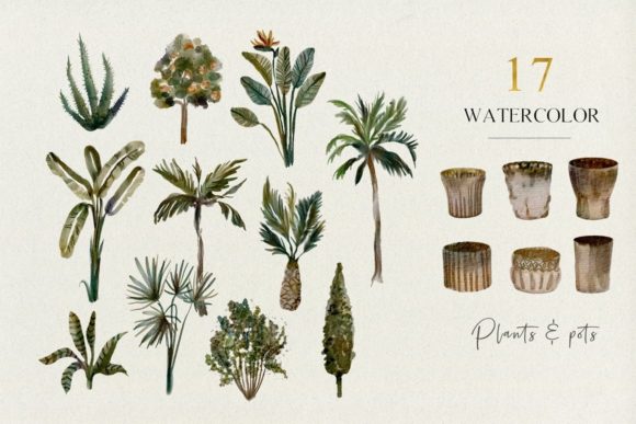 Tropical Plants Pots Watercolor Set for Illustrations