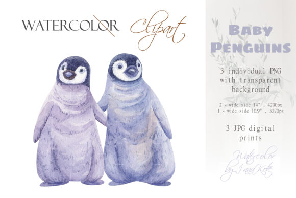Watercolor Arctic Baby Penguin Clipart & Illustrations