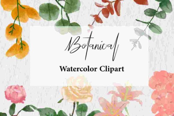 Watercolor Botanical Flower: Perfect Illustrations