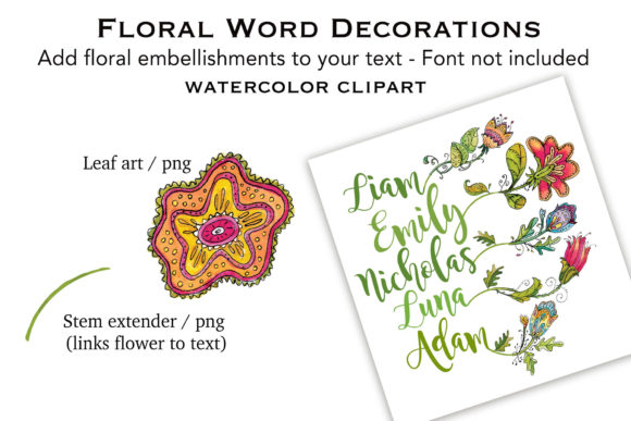 Watercolor Flower Orange Yellow Illustrations Review