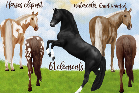 Watercolor Horse Clipart: Premium Illustrations