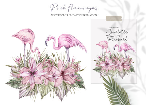 Watercolor Pink Flamingo Sublimation: Vibrant Illustrations
