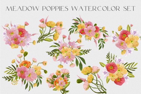 Watercolor Poppies: Vibrant Illustrations for Design