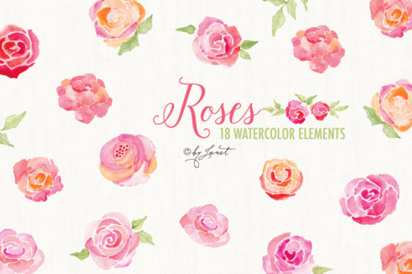 Watercolor Roses: Premium Illustrations for Branding