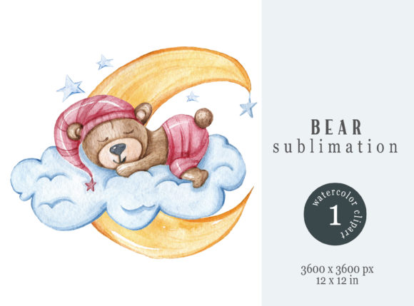 Watercolor Sleeping Bear Clipart for Illustrations