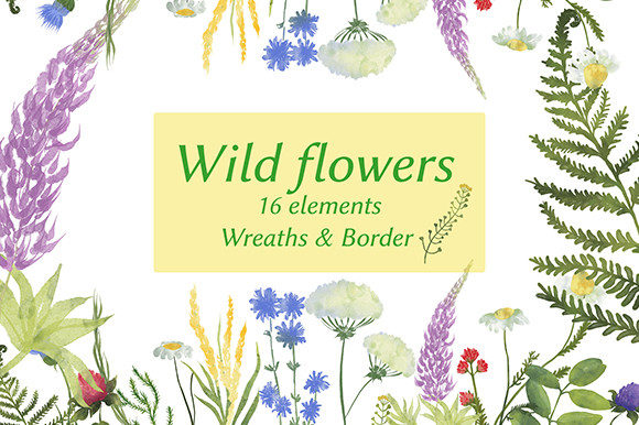 Watercolor Wild Flowers Clipart for Illustrations