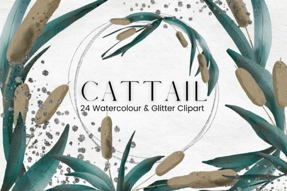 Watercolour Cattail & Silver Frames: Illustrations Review