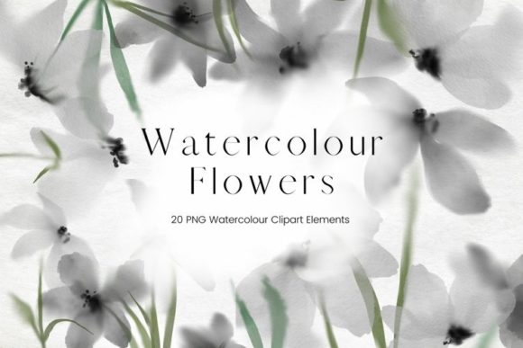 White and Grey Watercolour Flowers: Elegant Illustrations
